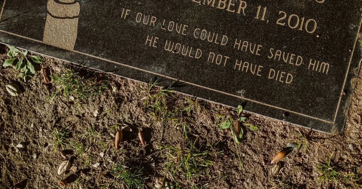 Comment commémorer une vie à travers un diaporama mémorial