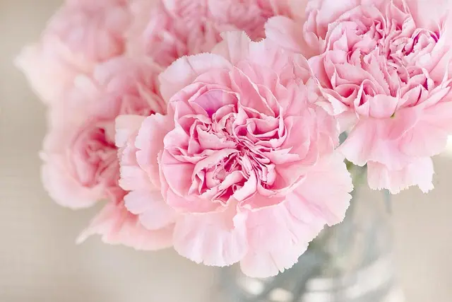 Les fleurs appropriées pour un service mémorial : options et significations