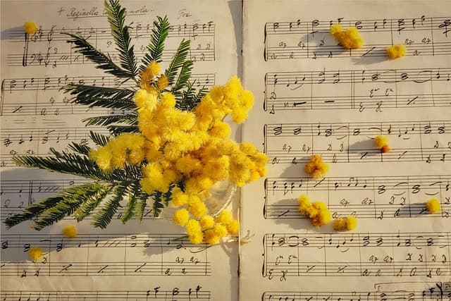 Comment intégrer la musique dans un service mémorial
